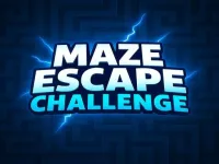 Maze Escape Challenge